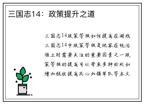 三国志14：政策提升之道